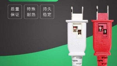 2021年，我們不見(jiàn)不散-電源線廠家